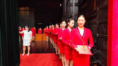 洛阳职业技术学院礼仪队圆满完成洛阳市七一表彰大会颁奖礼仪服务与软件开发