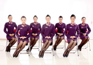 提升服务质量 软件开发领域的服务礼仪培训